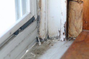 lead poisoning lawsuit